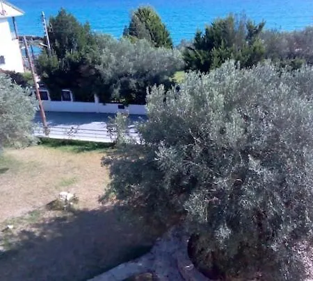 Apartament Mary's House Halkidiki